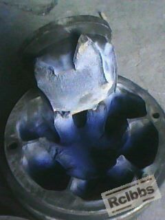 IMG0096A.jpg