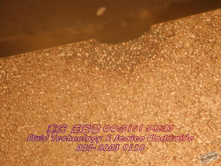 DSCN7610.jpg