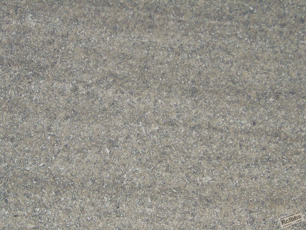 组织  100X