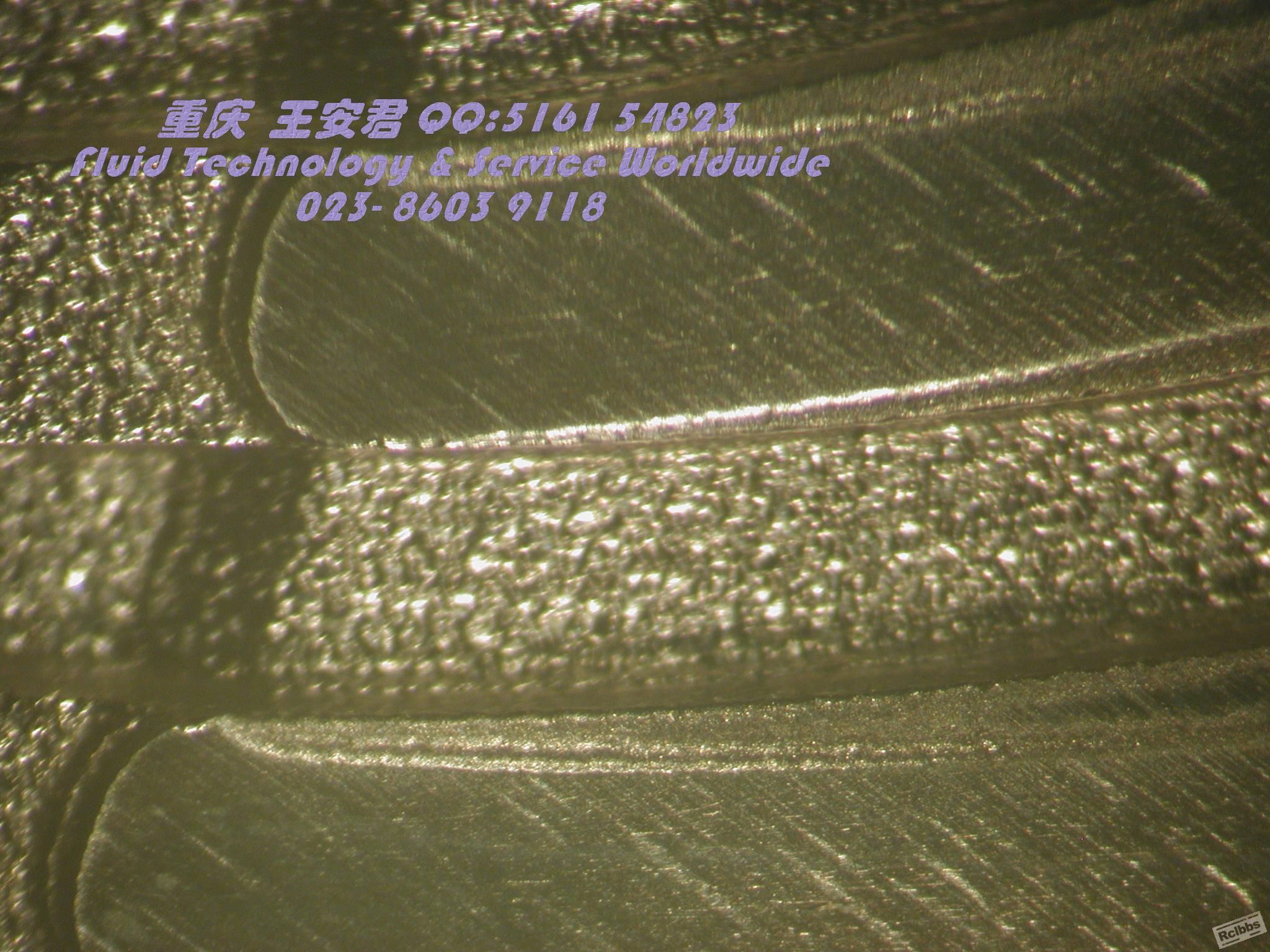 DSCN8479.JPG