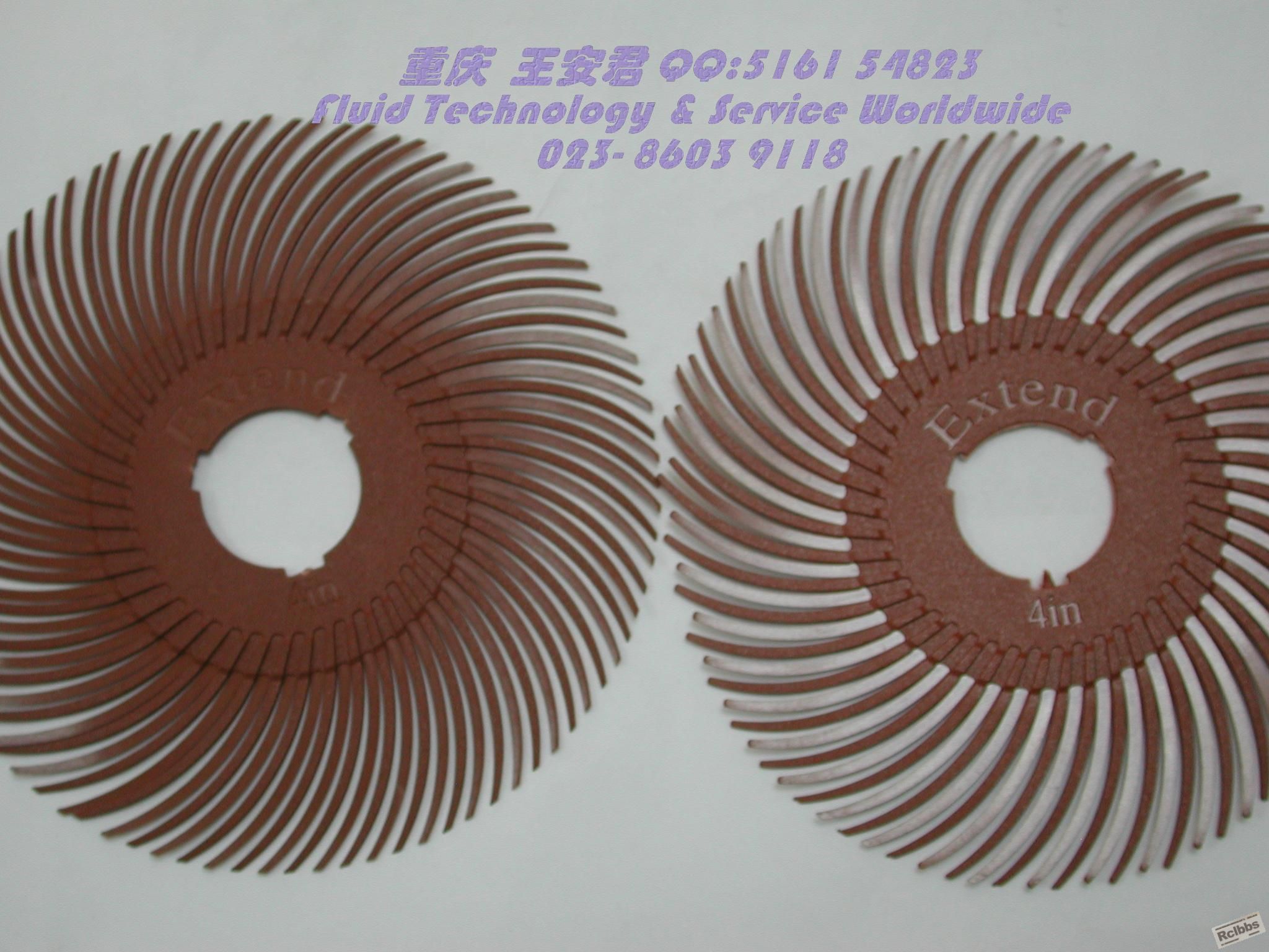 DSCN8484.JPG