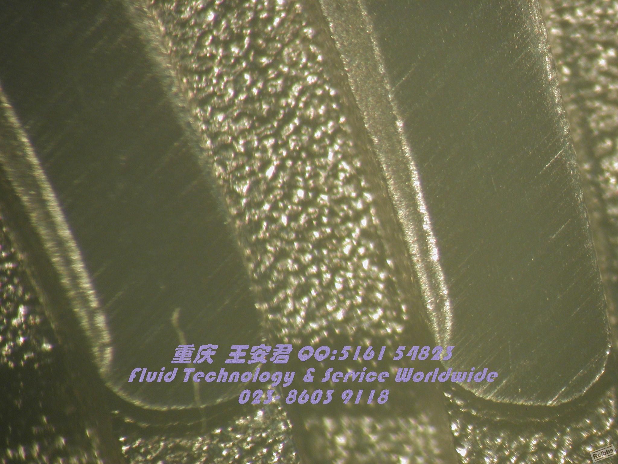 DSCN8477.JPG