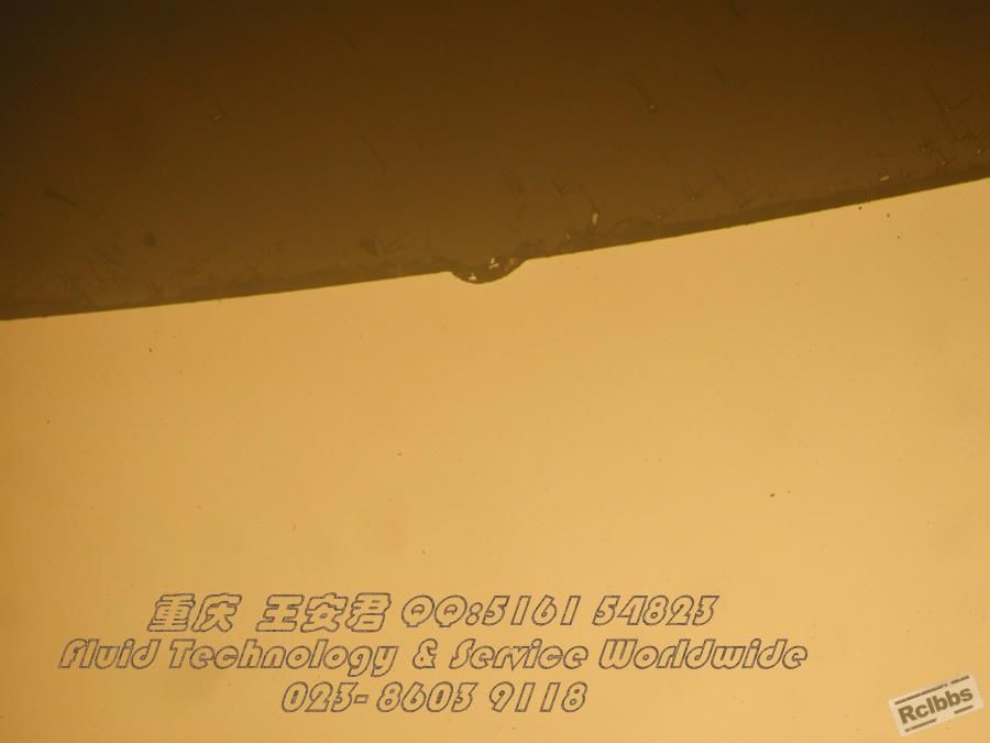 DSCN7602.jpg