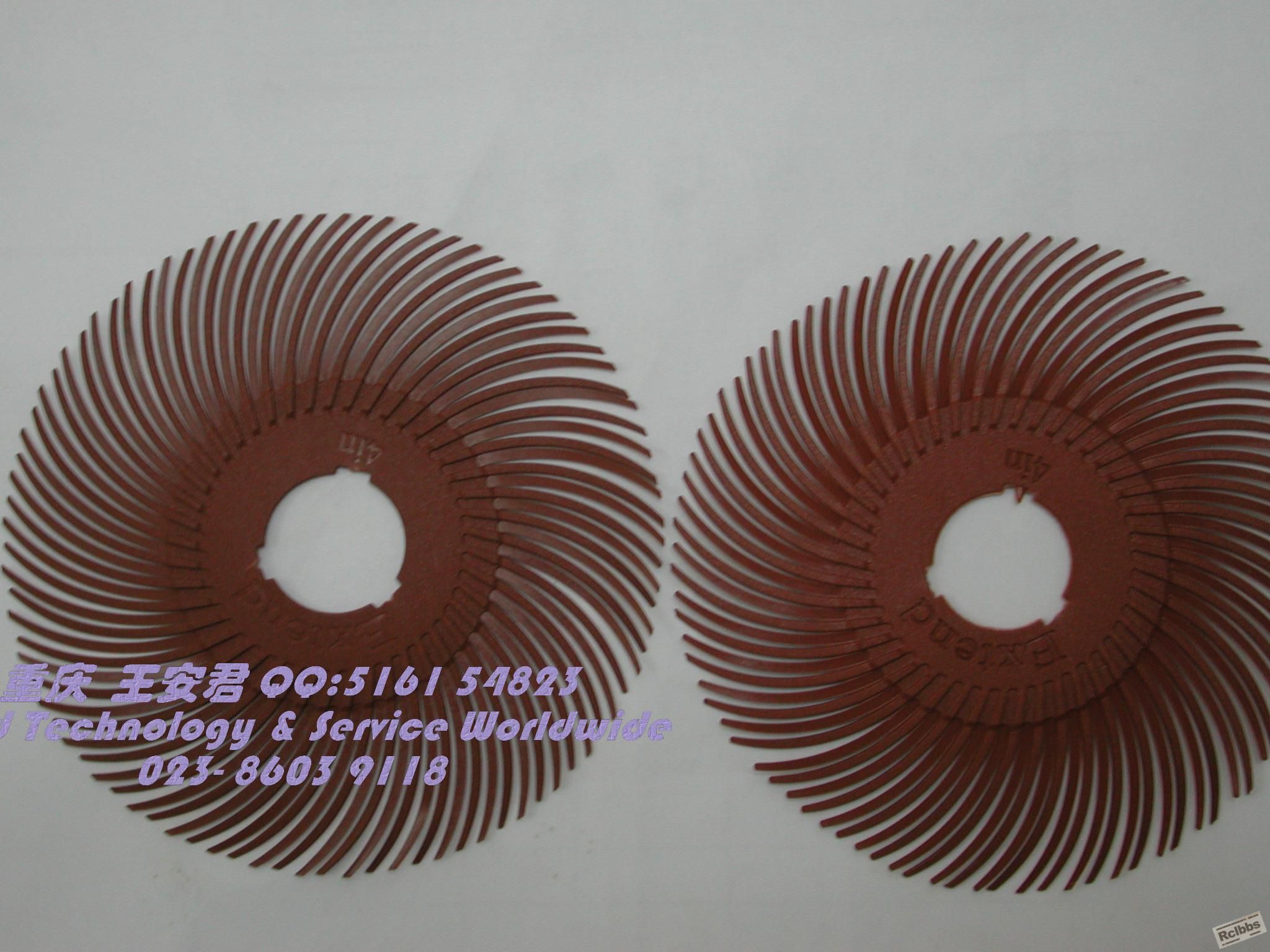 DSCN8487.JPG
