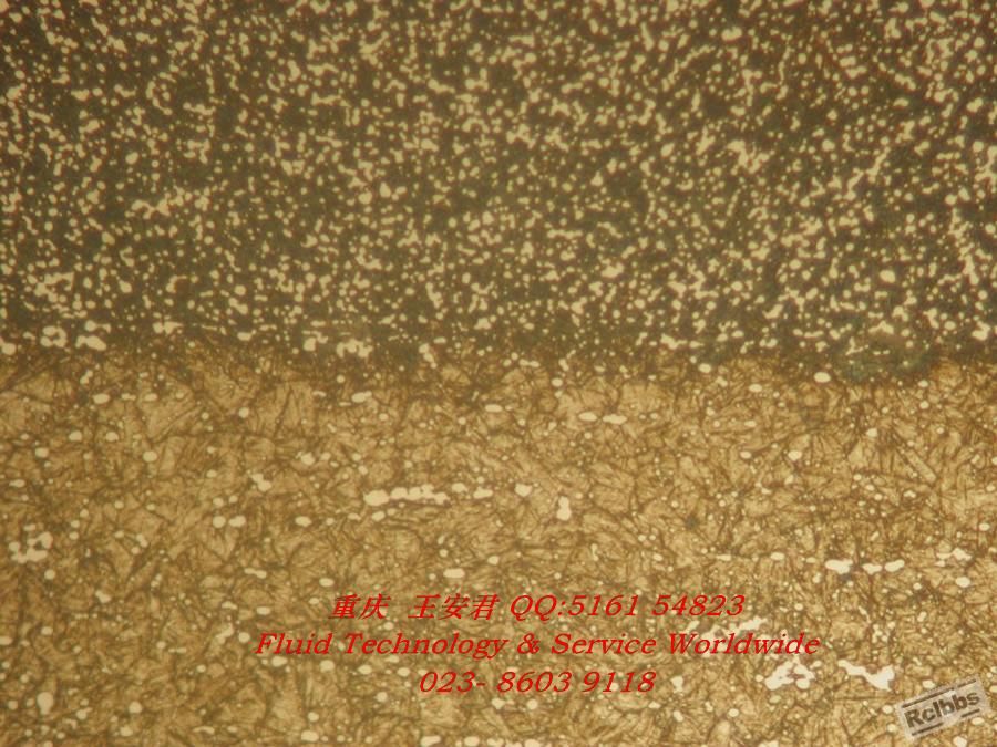 DSCN7374.jpg