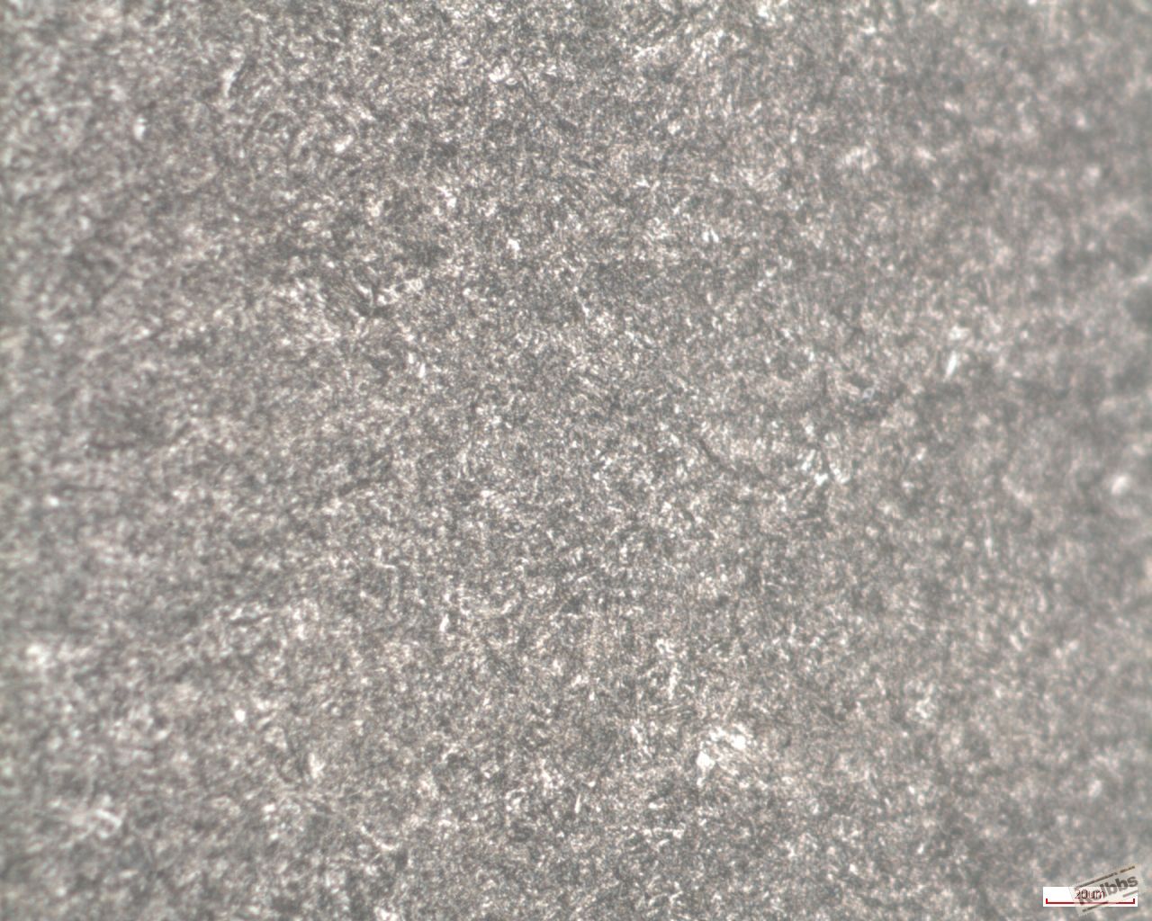 x500-ms.jpg