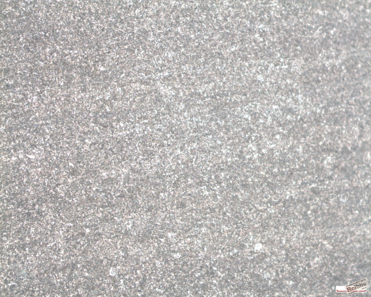x200-ms.jpg