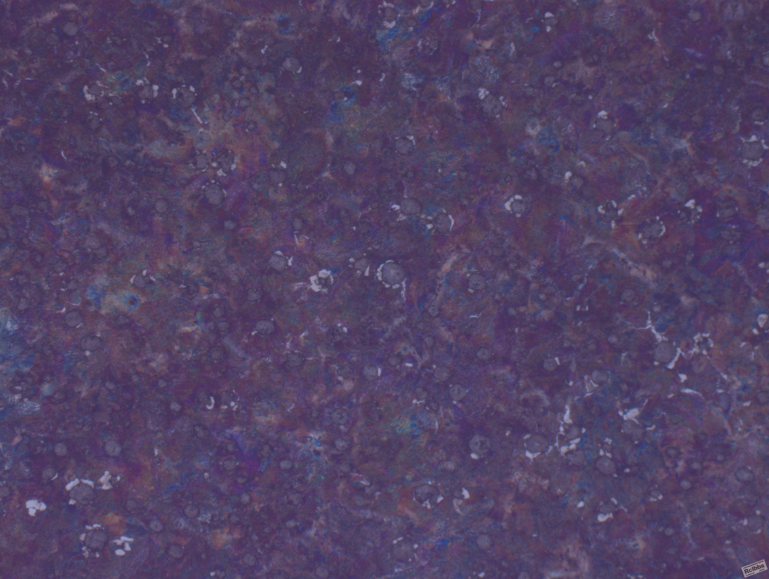 CPB0811-167.JPG