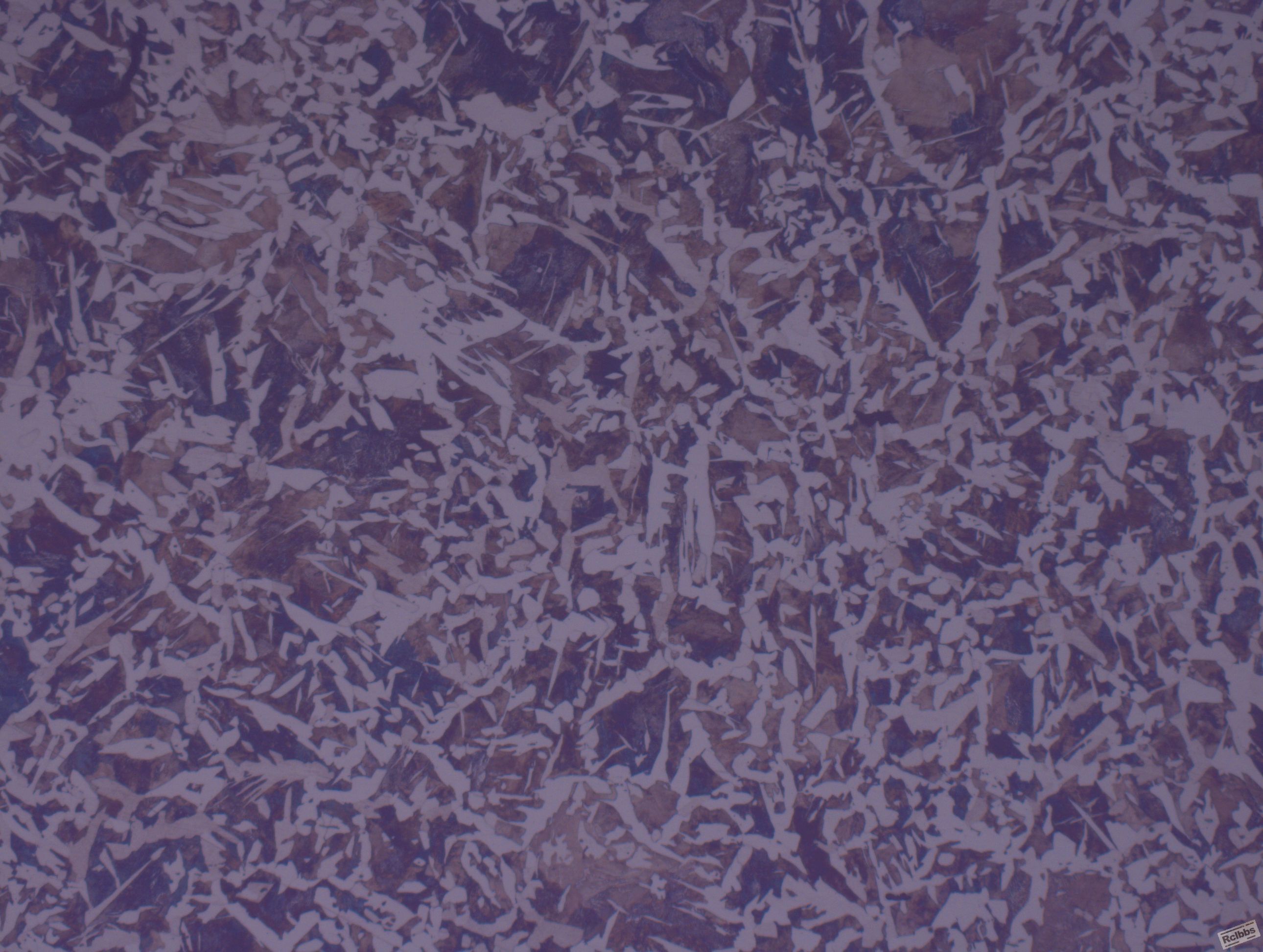 08010-105.JPG