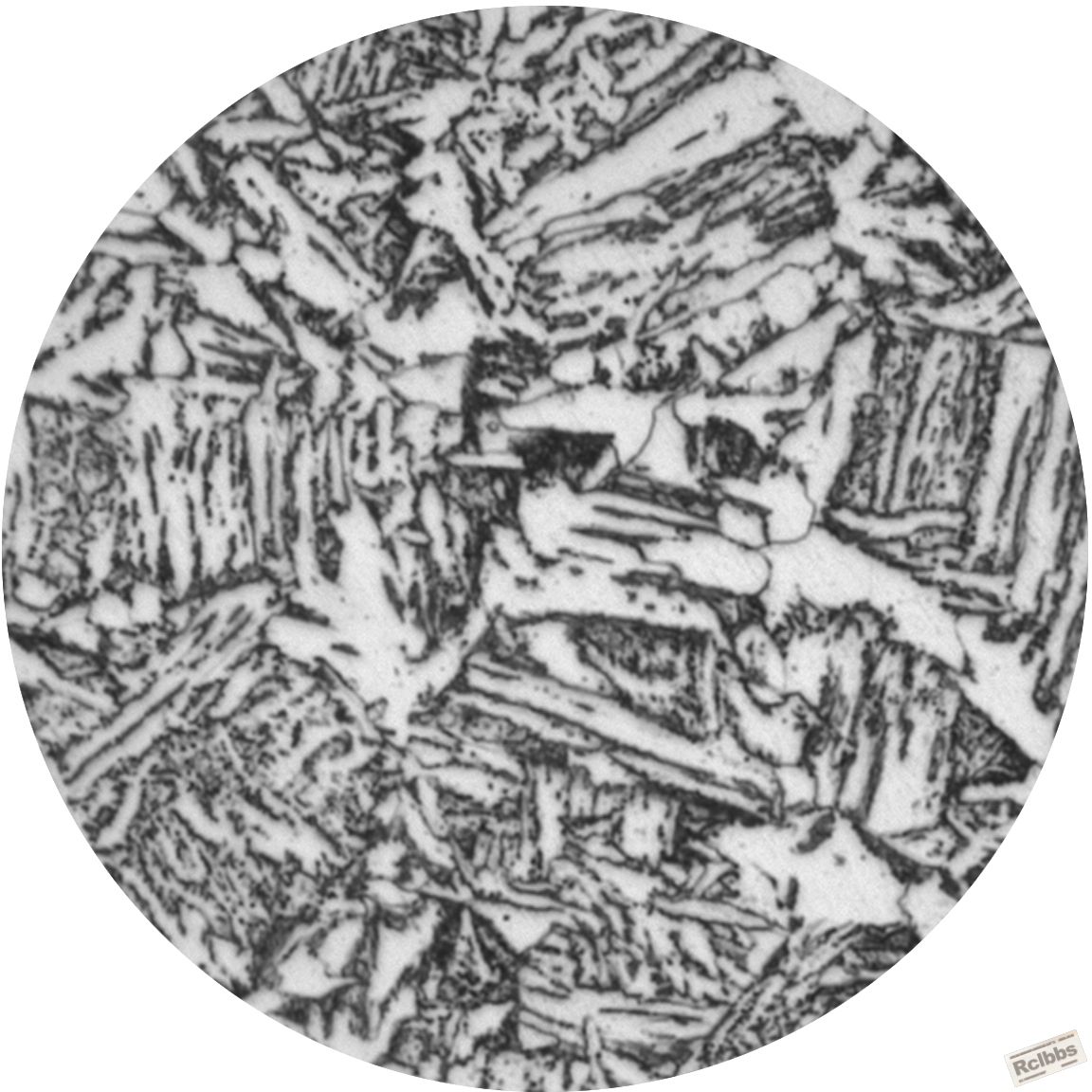1000-1.jpg