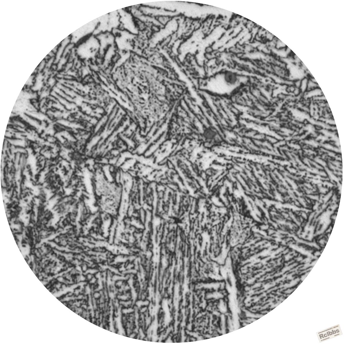 1000-4.jpg