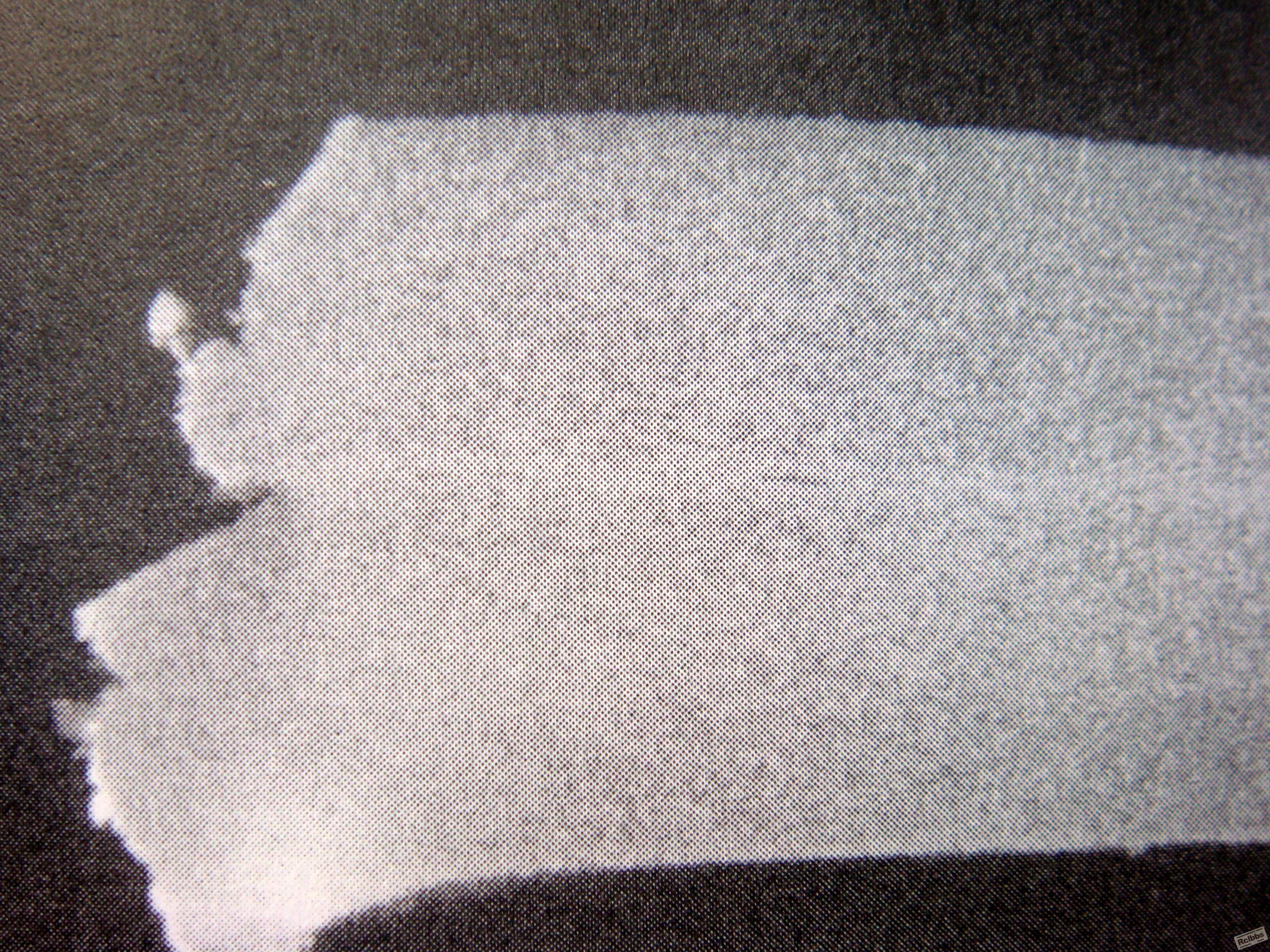 DSC02120.JPG
