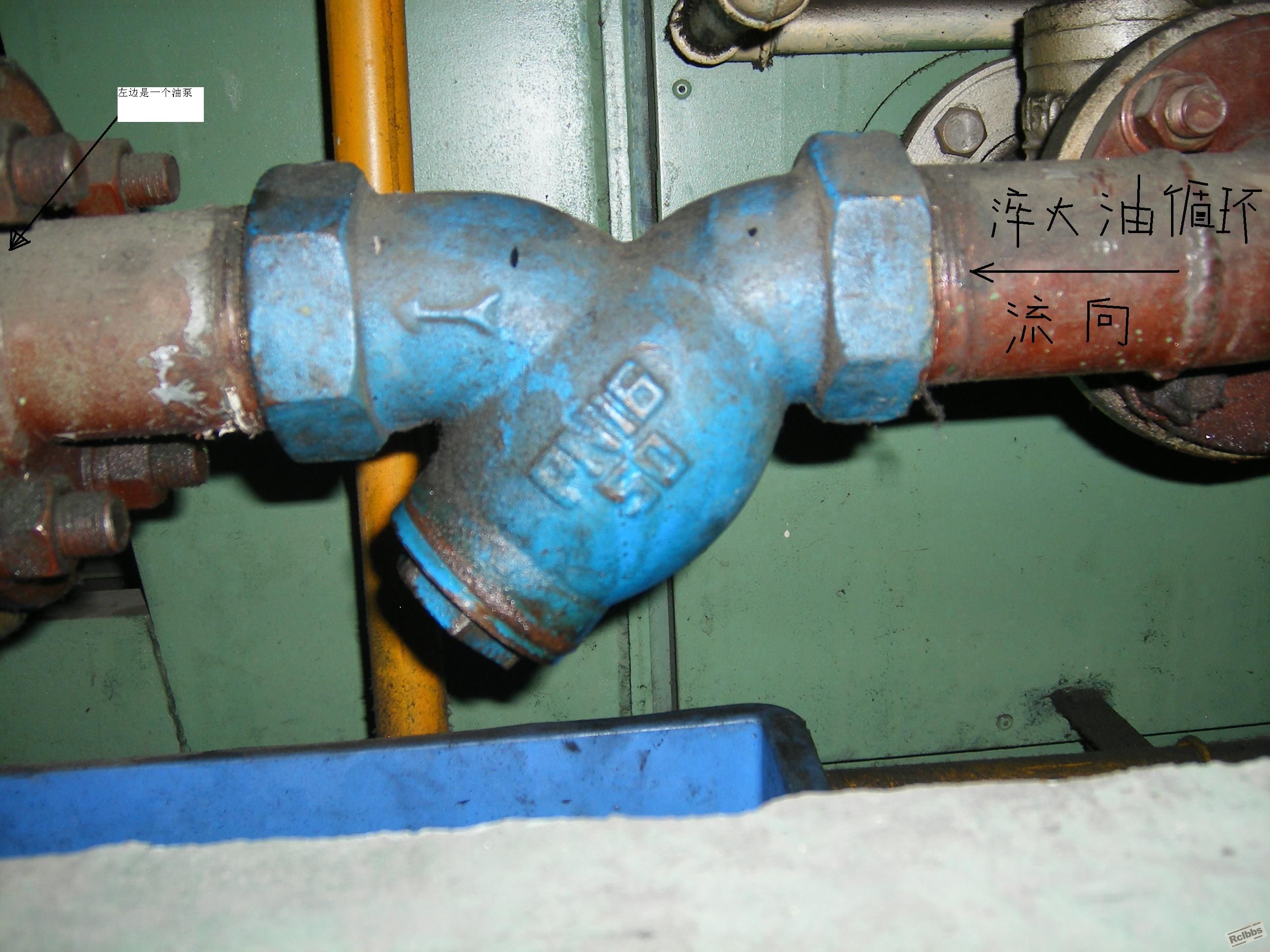 丰东（平视-）.JPG