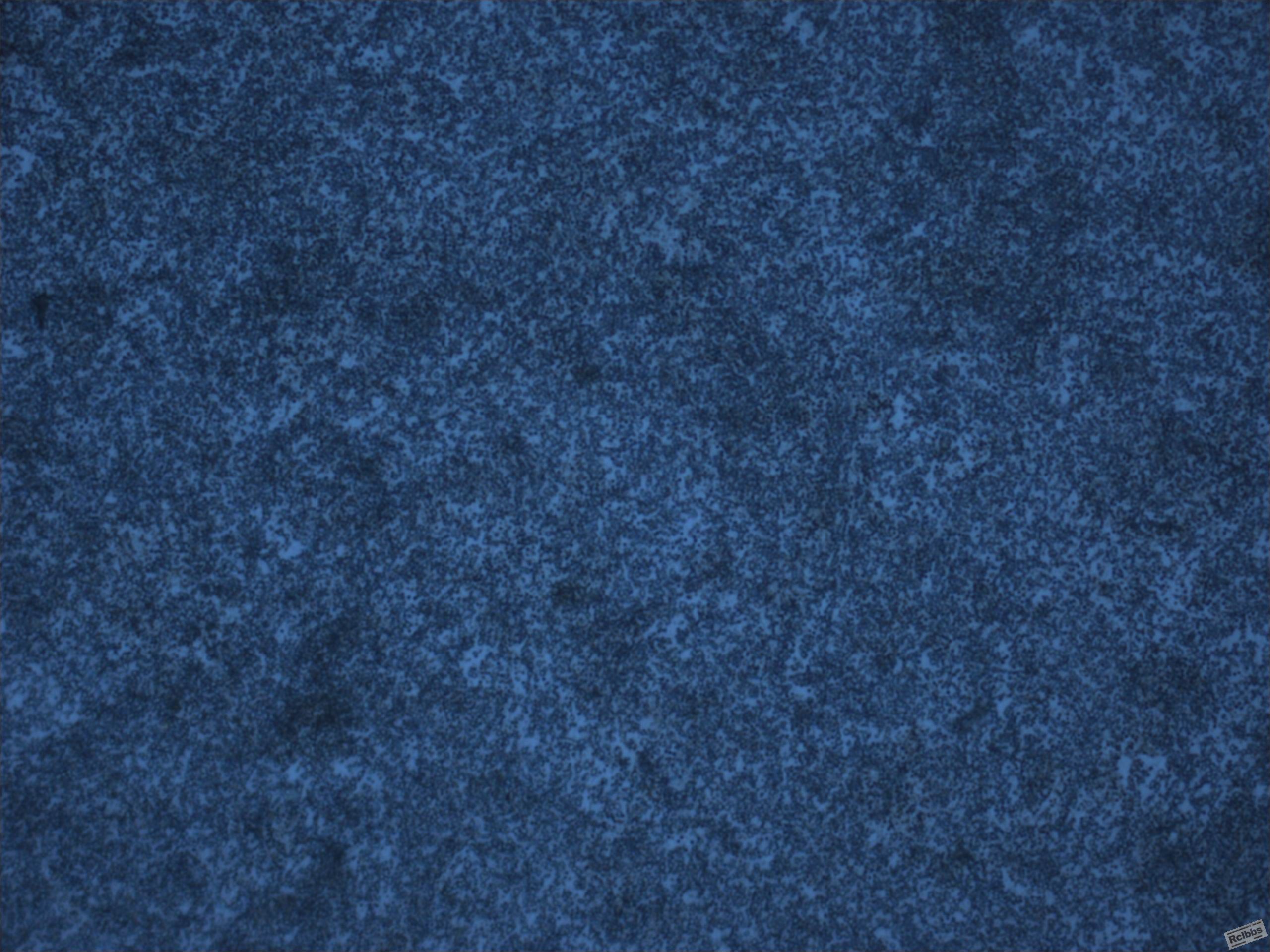 1000-3.jpg