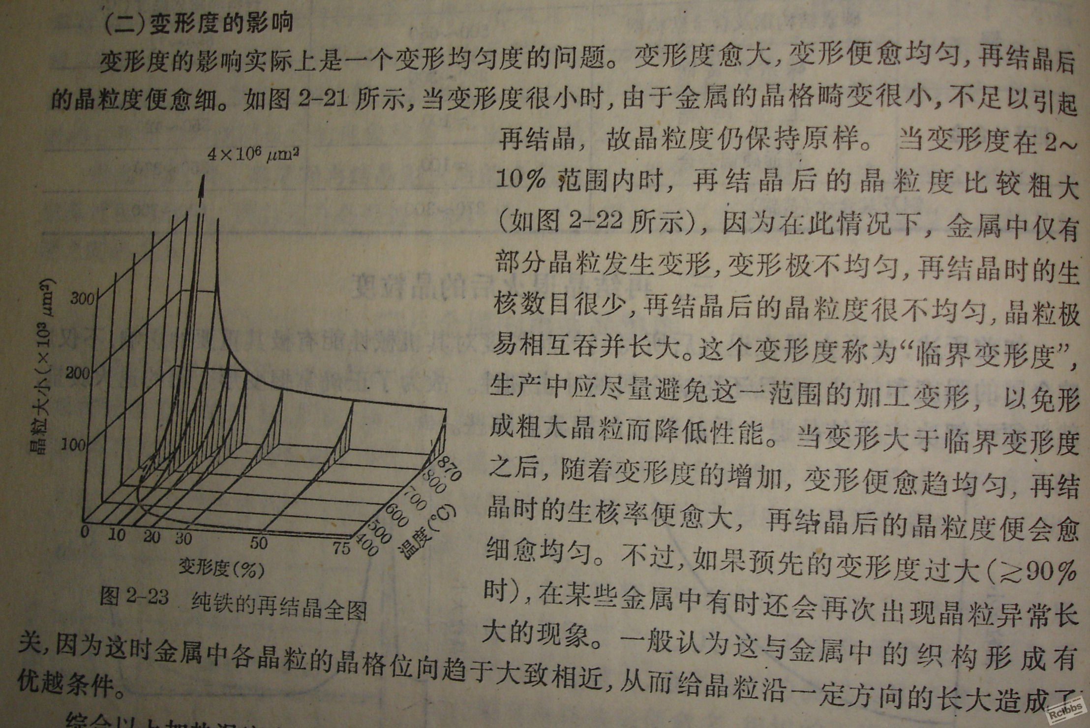 DSC08708.JPG