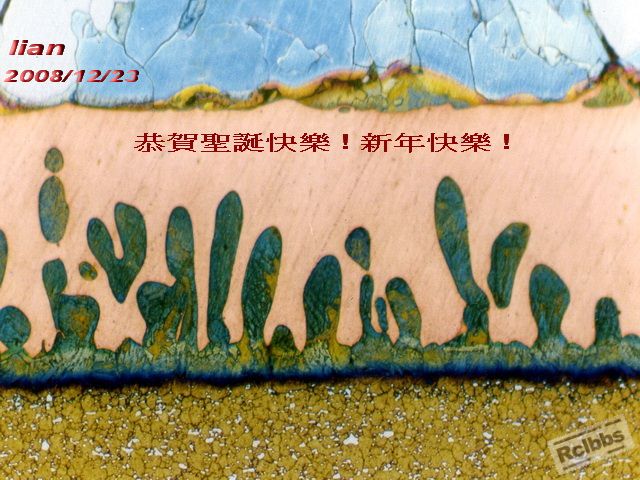 2008年賀卡.jpg