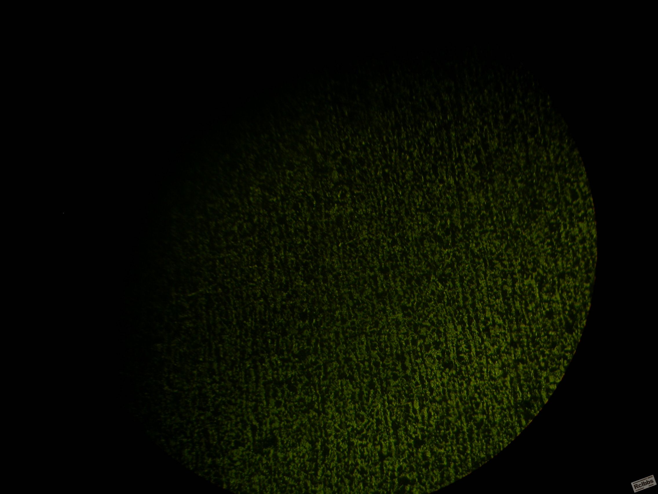 DSCN4106.JPG