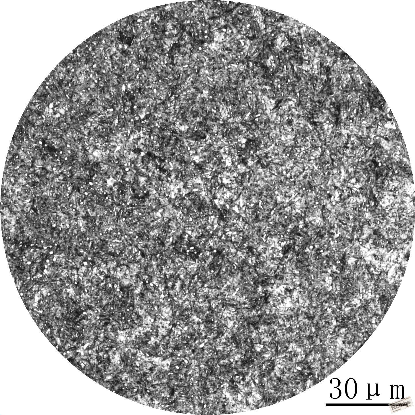 Gr15SiMn-1.jpg