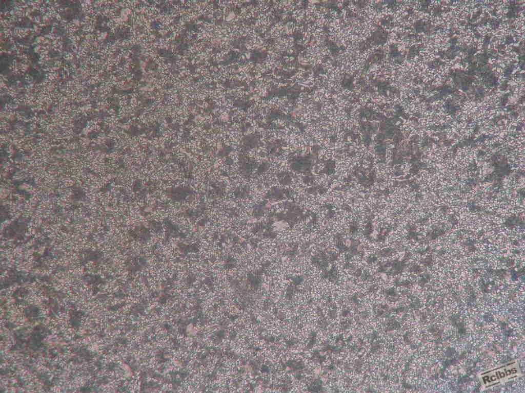 距表面2mm500X.JPG