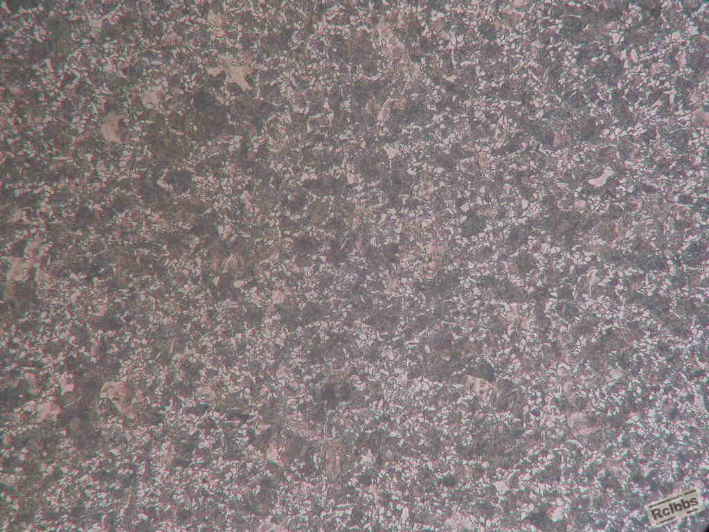 距表面5mm500X.JPG