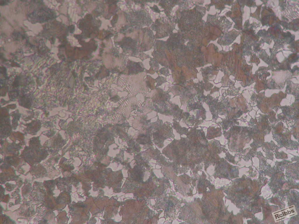 锻件芯部500X.JPG