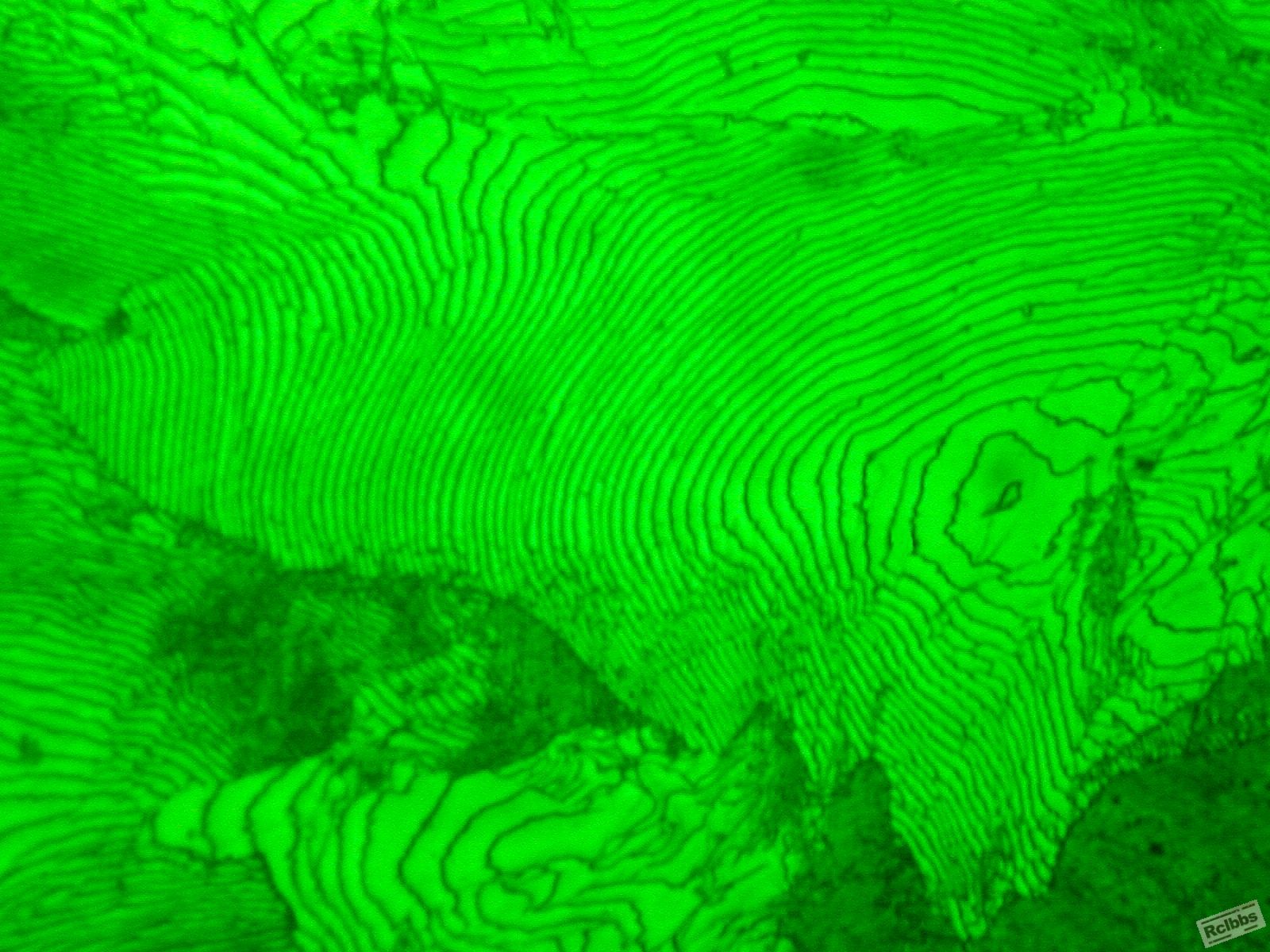 01023 005.jpg