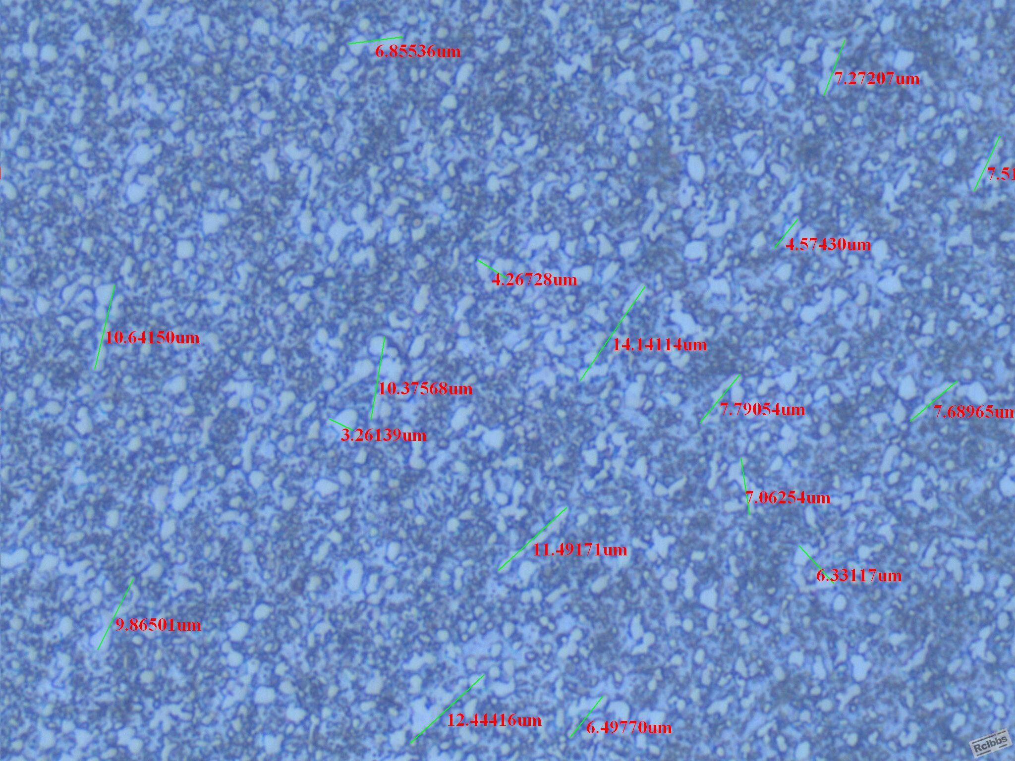 1000X-33.JPG