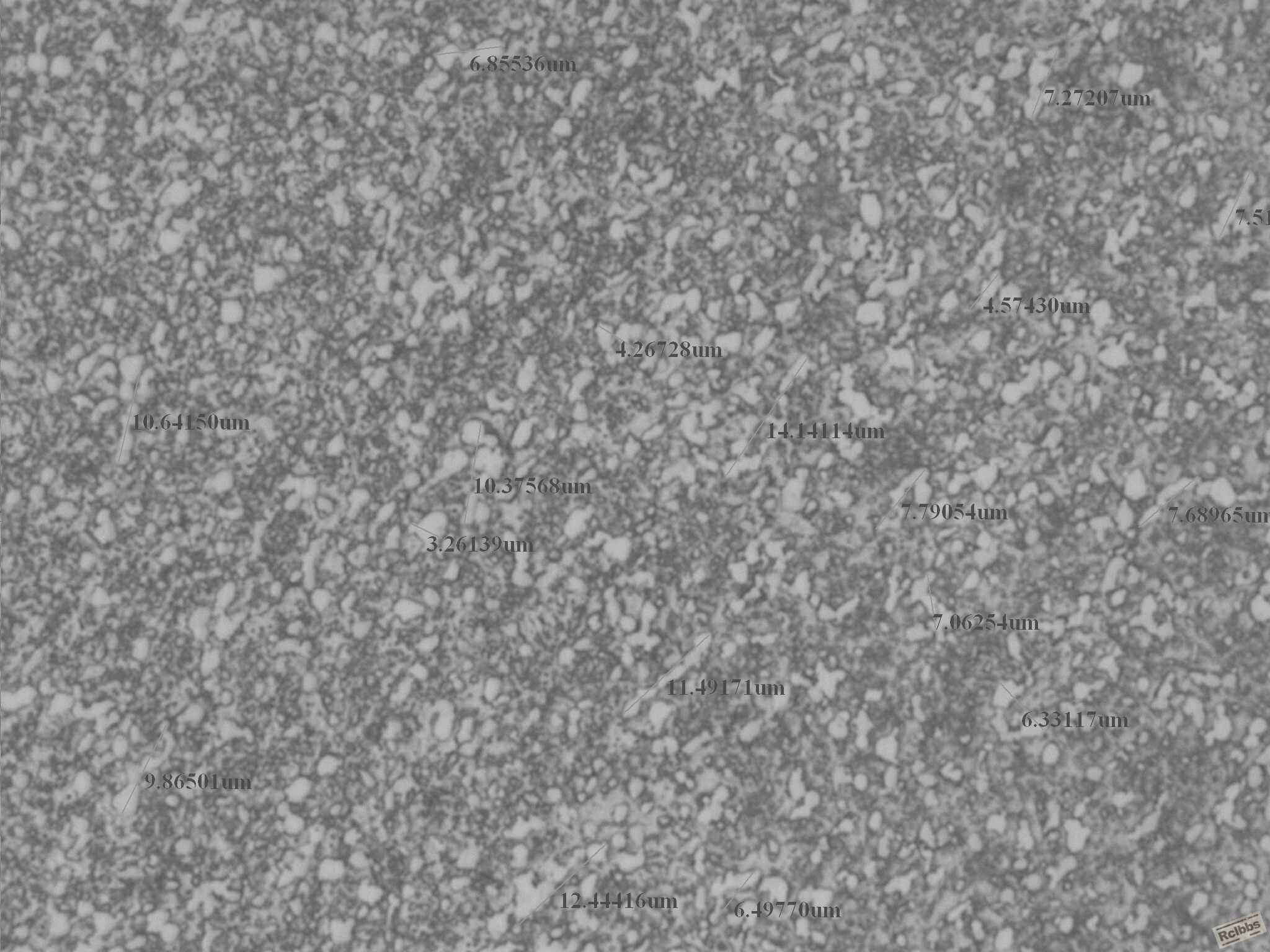 1000X-333.jpg