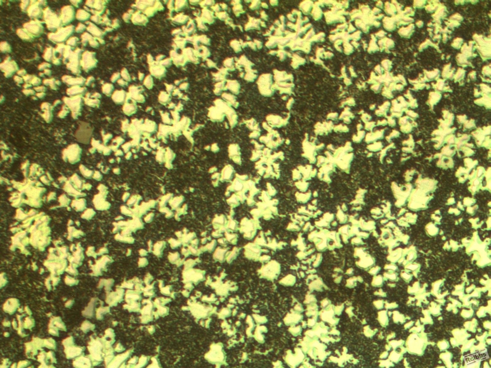 ADC12 standard picture1 400X-03.jpg