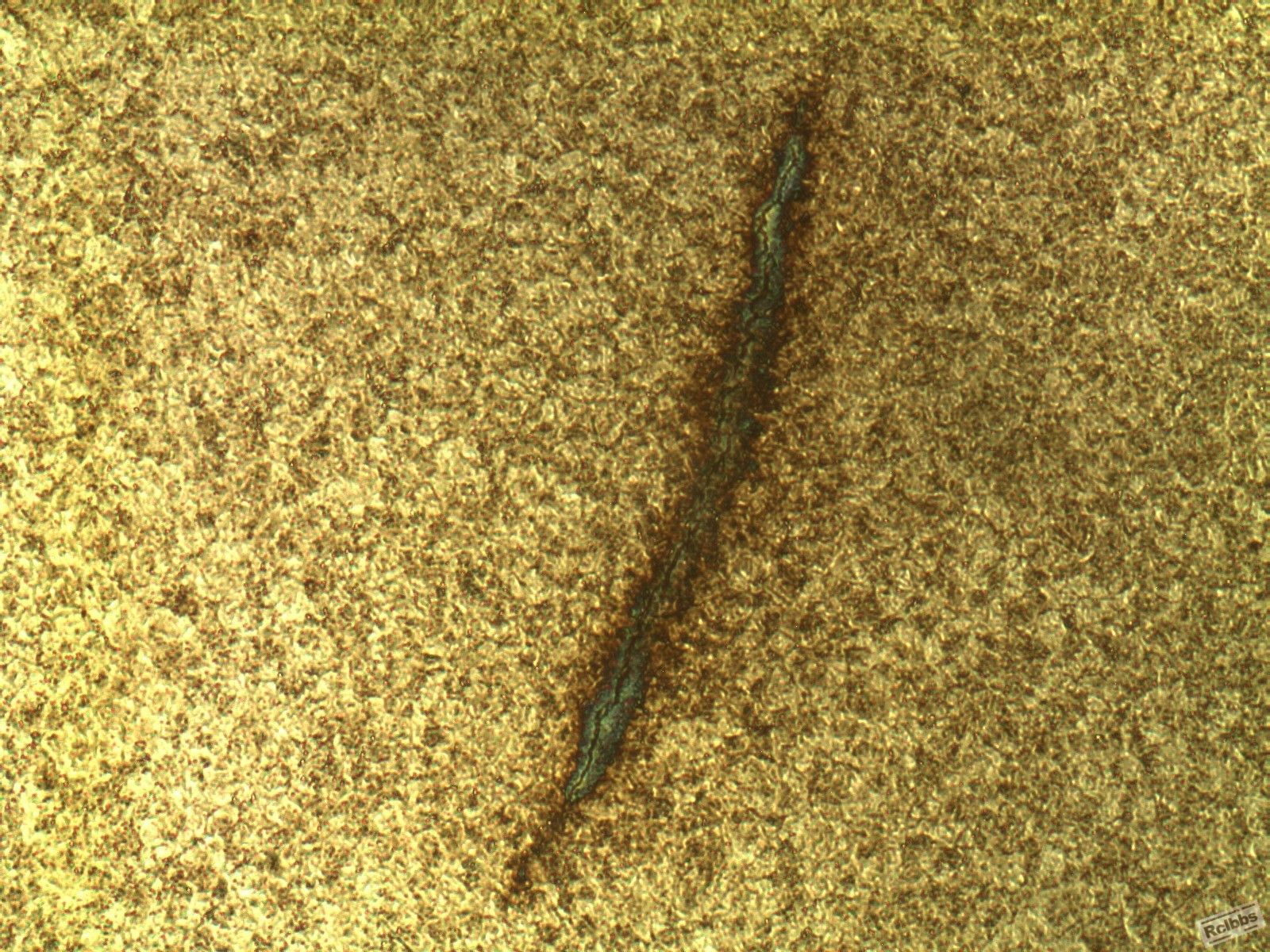 2008-08-8-100-01.jpg