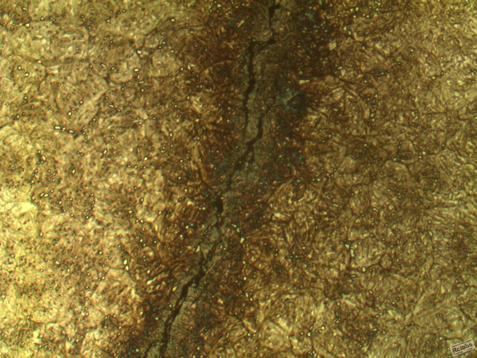 2008-08-8-400-07.jpg