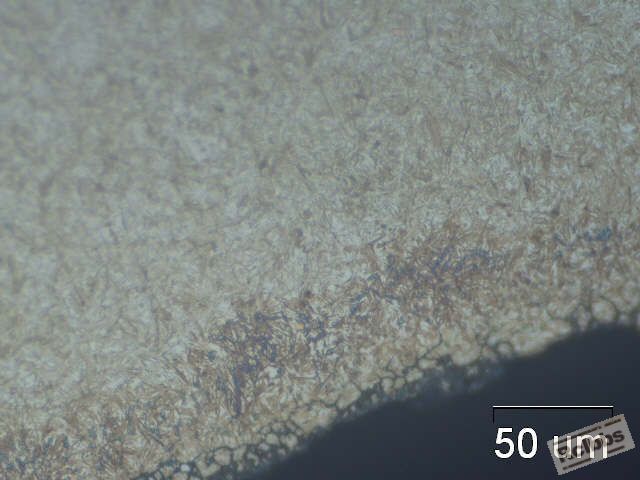 500X ，齿底表面非马组织