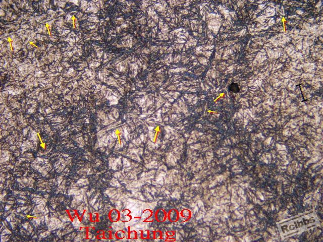 aP1015043.jpg