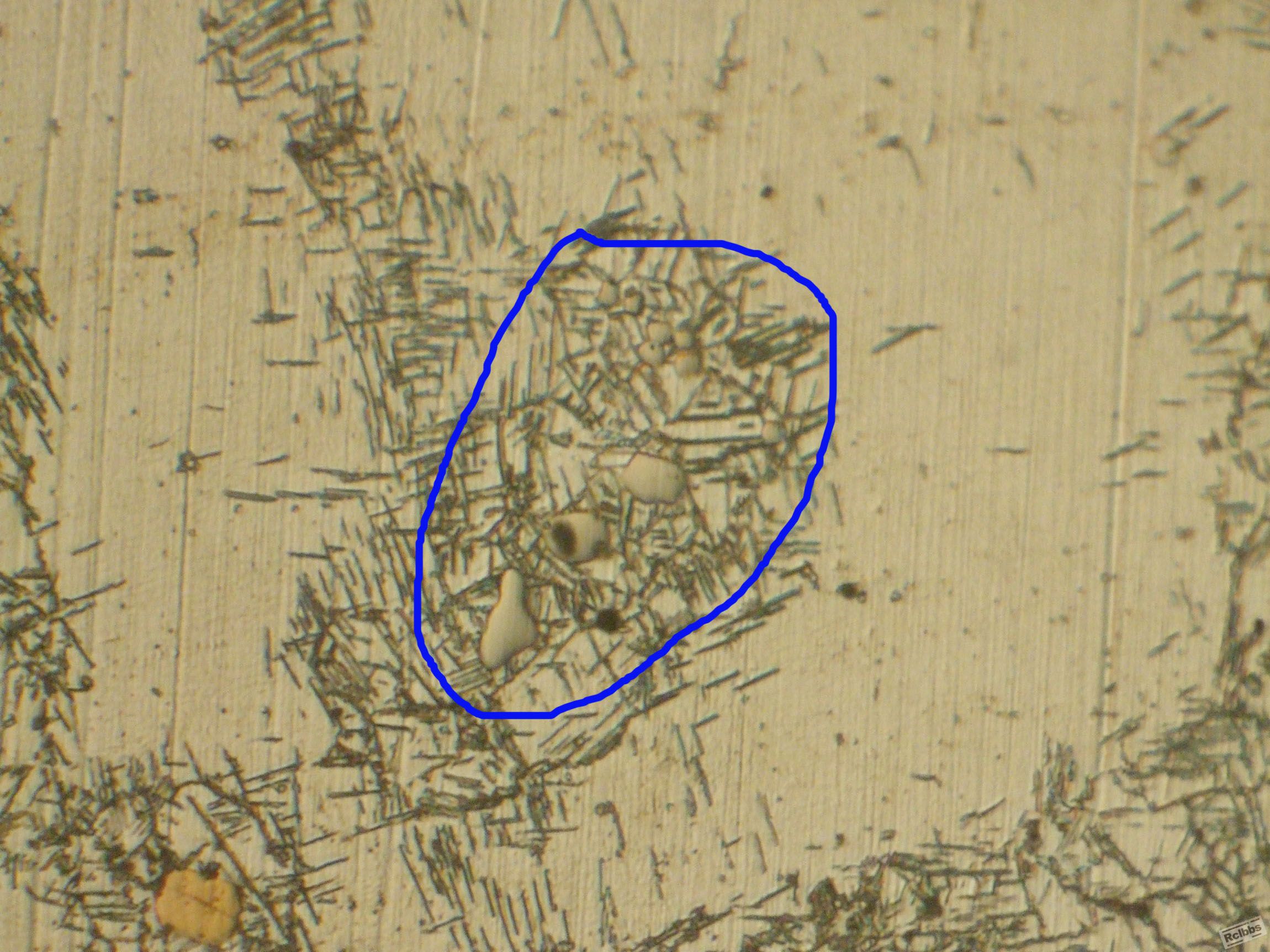 DSCF4539.jpg