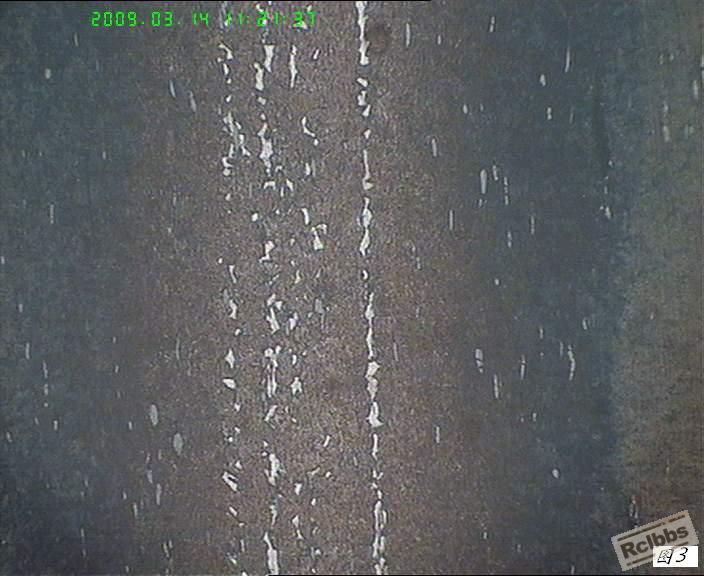 2009.14-100X.jpg