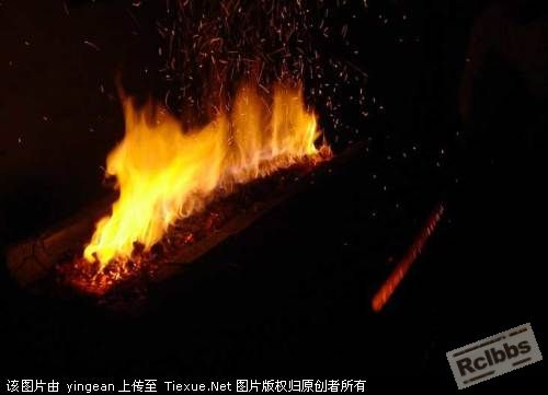 烧入