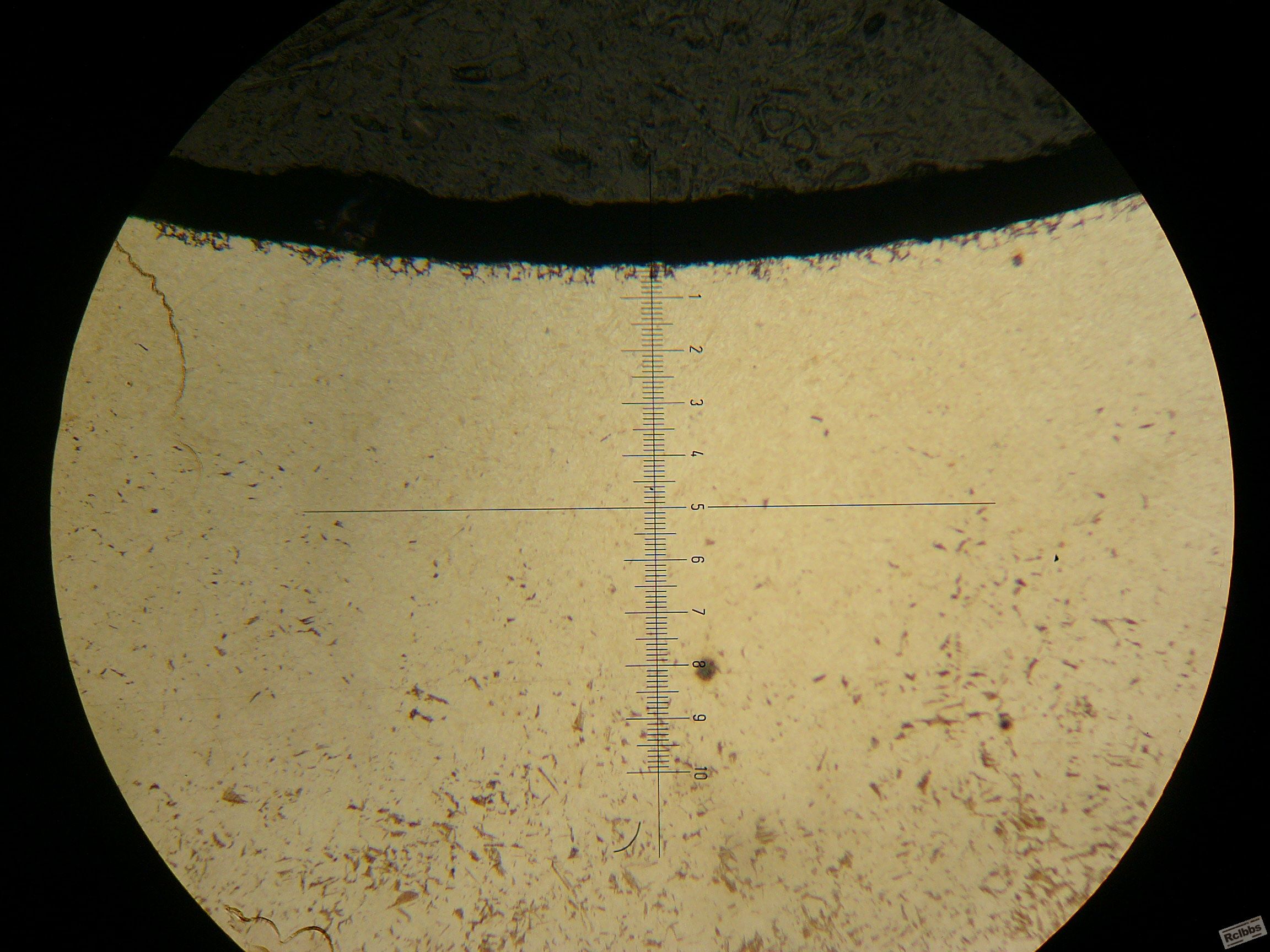 P1030761.JPG