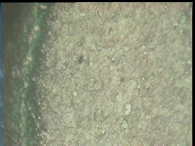 cap01.jpg