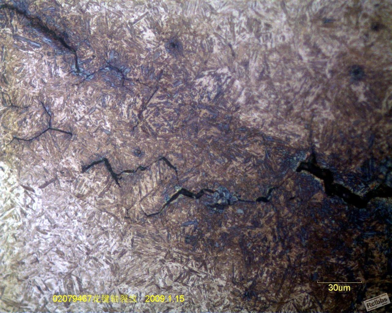 轴感应淬火裂纹500X.jpg