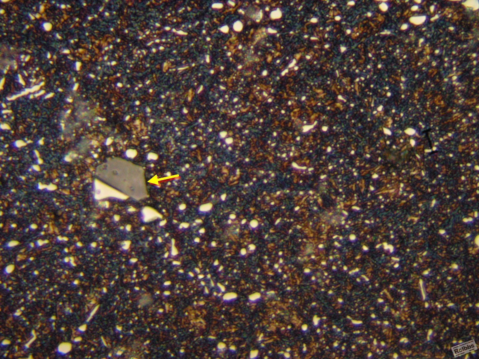P1016327x.jpg