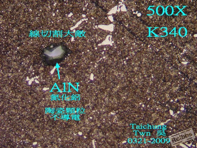 P1016039x.jpg