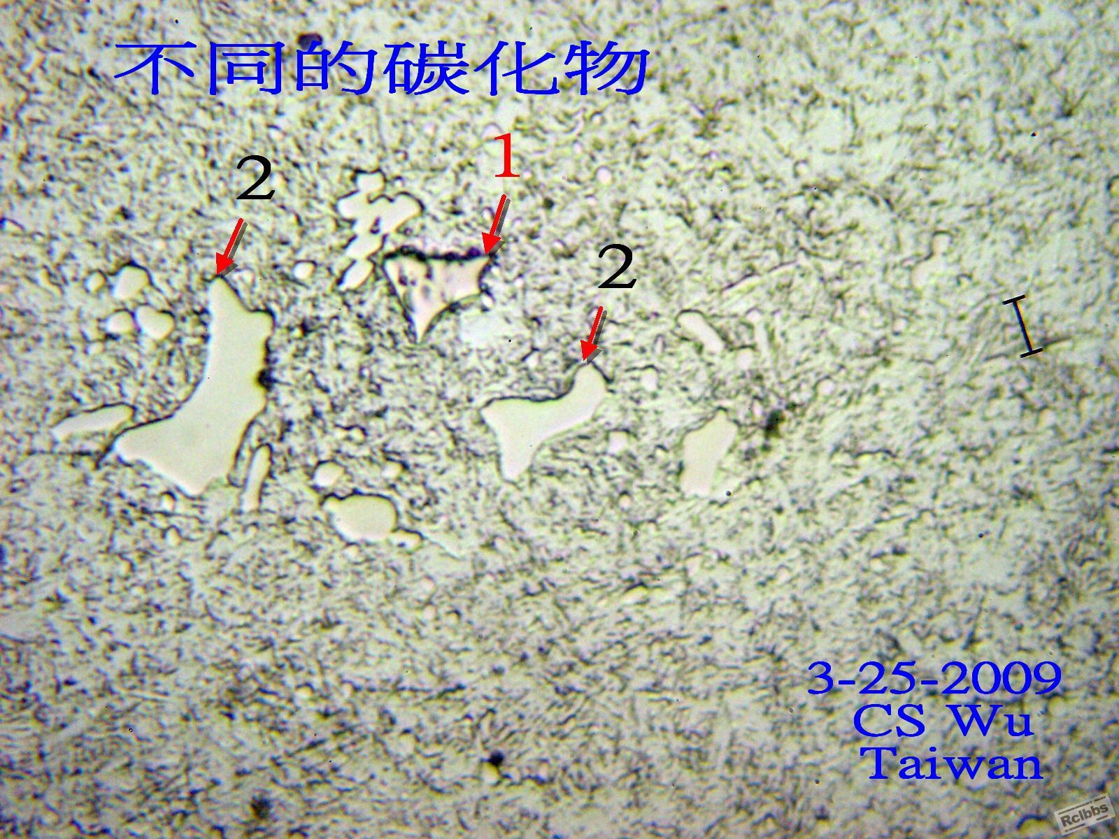 P1016309x.jpg