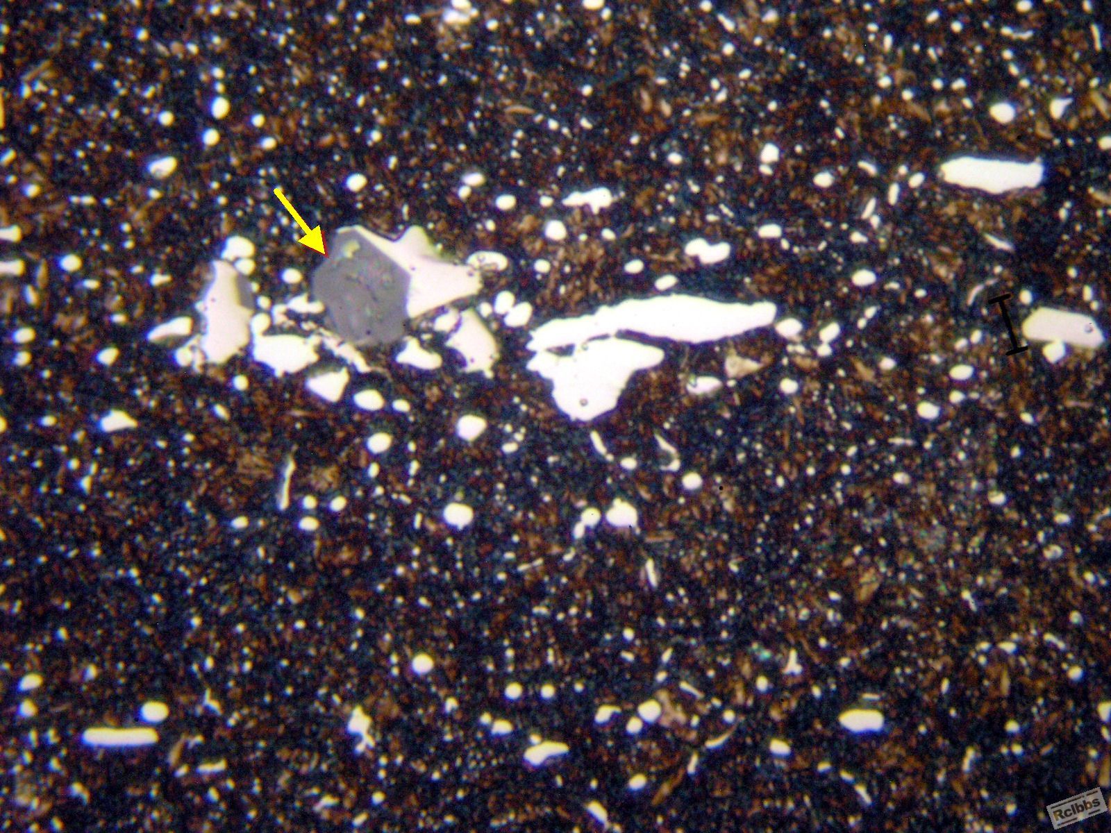 P1016345x.jpg