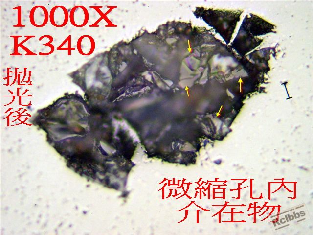 P1015909.jpg