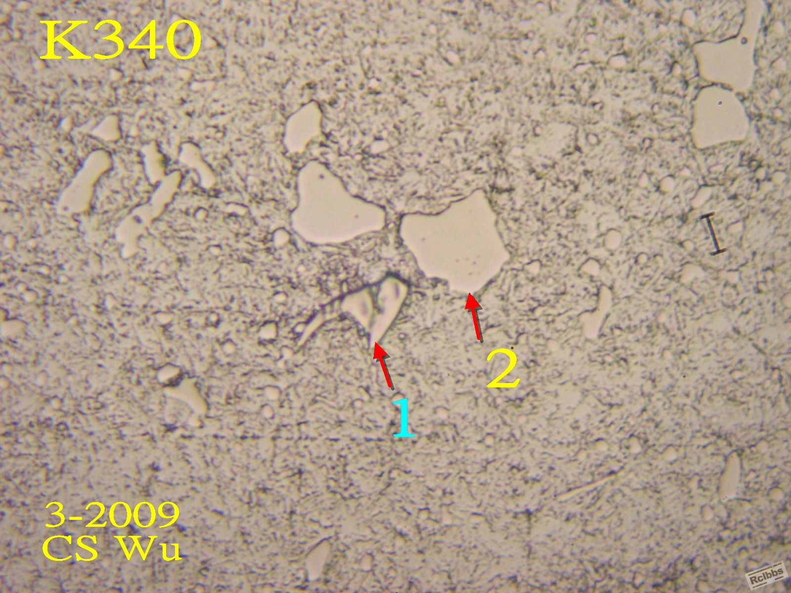 P1016310x.jpg
