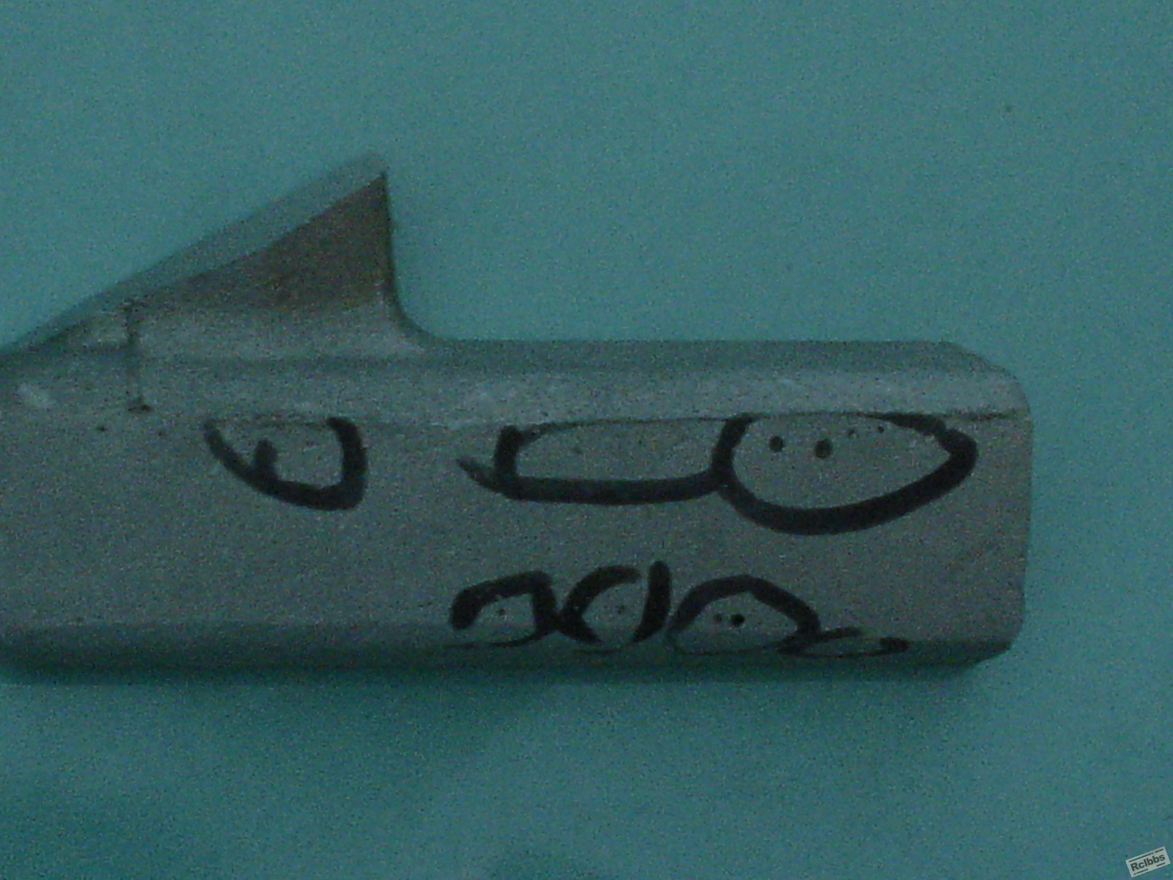 DSC00744.JPG