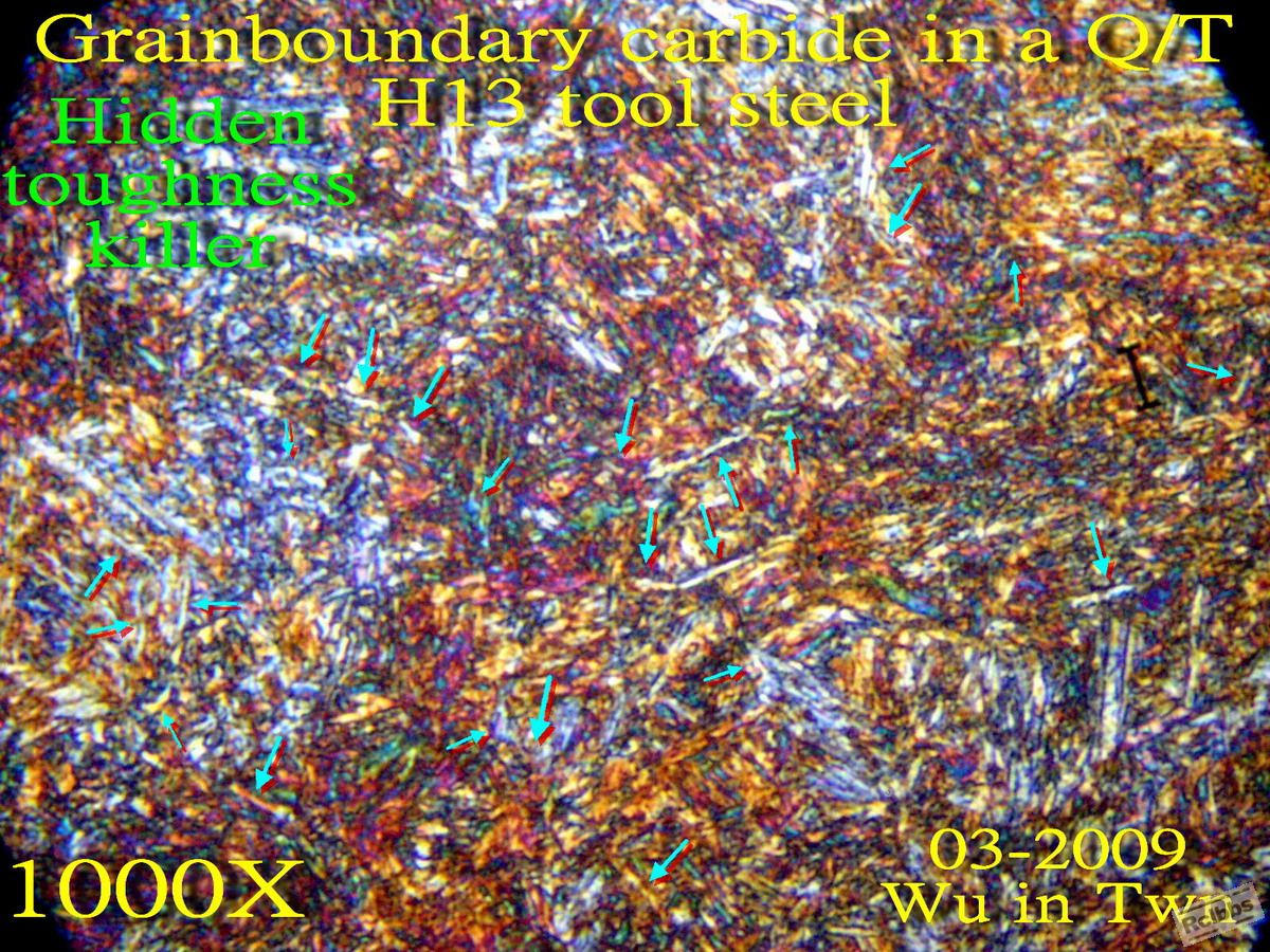 P1016458x.jpg