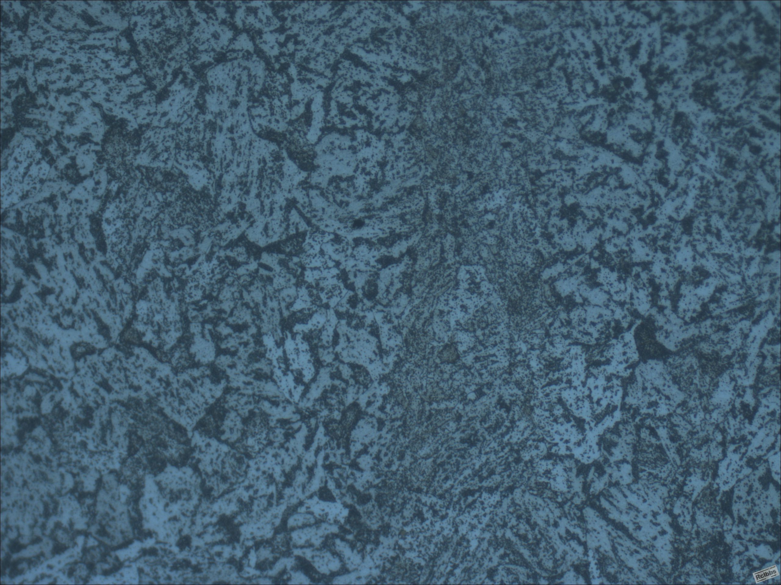 31#-500X-1.JPG