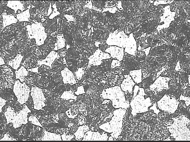 00.jpg