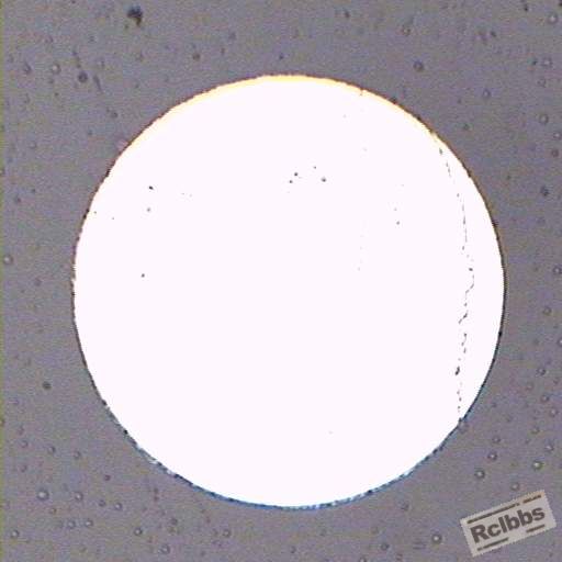 物镜25X_250um.jpg